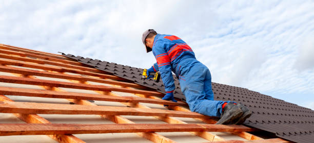 Best Roof Moss and Algae Removal  in Bear Creek, AL